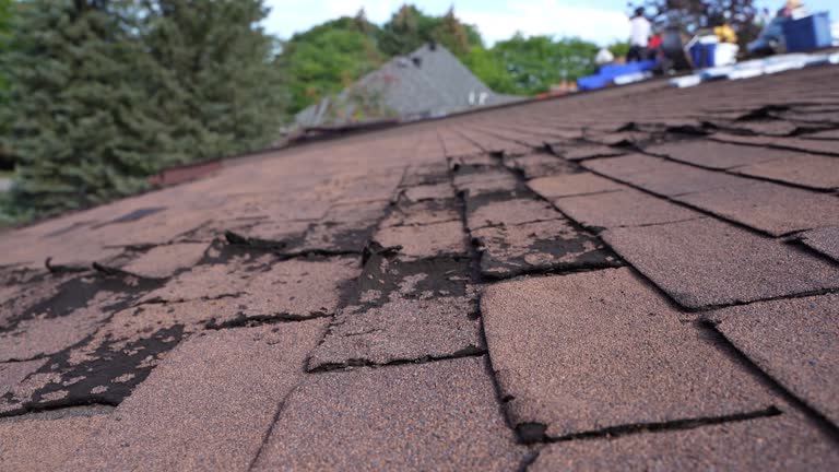 Best Roof Ventilation Installation  in Calabash, NC