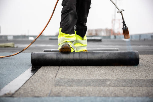 Best Asphalt Shingle Roofing  in Calabash, NC