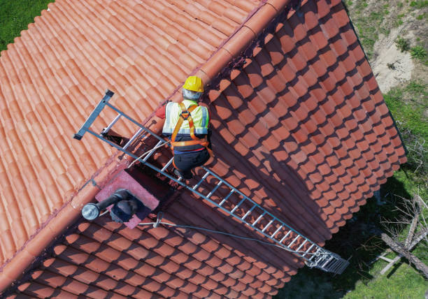 Best Roof Moss and Algae Removal  in Calabash, NC